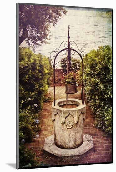 Antique Italian Well In A Garden At Lake Garda-George Oze-Mounted Photographic Print