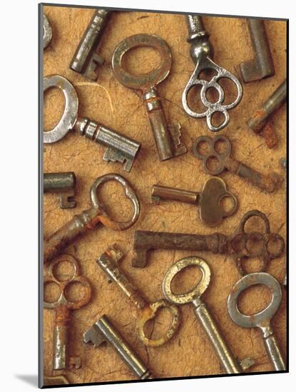 Antique Key Collage-Vision Studio-Mounted Art Print