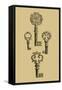 Antique Keys IV-Vision Studio-Framed Stretched Canvas