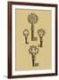 Antique Keys IV-Vision Studio-Framed Art Print