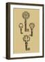 Antique Keys IV-Vision Studio-Framed Art Print