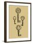 Antique Keys IV-Vision Studio-Framed Art Print