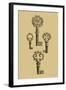 Antique Keys IV-Vision Studio-Framed Art Print