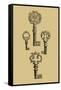 Antique Keys IV-Vision Studio-Framed Stretched Canvas