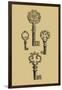 Antique Keys IV-Vision Studio-Framed Art Print