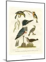 Antique Kingfisher I-Alexander Wilson-Mounted Art Print