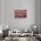 Antique Kitchen Equipment, Las Vegas, Nevada. Usa-Julien McRoberts-Stretched Canvas displayed on a wall