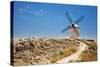 Antique La Mancha Windmills in Consuegra, Spain-Julianne Eggers-Stretched Canvas