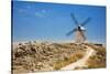 Antique La Mancha Windmills in Consuegra, Spain-Julianne Eggers-Stretched Canvas