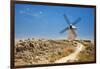 Antique La Mancha Windmills in Consuegra, Spain-Julianne Eggers-Framed Photographic Print