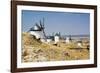 Antique La Mancha Windmills in Spain-Julianne Eggers-Framed Photographic Print