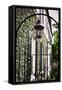 Antique Lamp On A Fence-George Oze-Framed Stretched Canvas