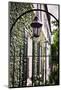 Antique Lamp On A Fence-George Oze-Mounted Photographic Print