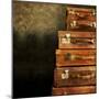 Antique Luggage Suitcases-Tom Quartermaine-Mounted Giclee Print