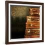 Antique Luggage Suitcases-Tom Quartermaine-Framed Giclee Print