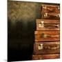 Antique Luggage Suitcases-Tom Quartermaine-Mounted Giclee Print