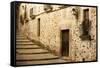 Antique Medieval Street at Unesco City of Caceres.-Jose AS Reyes-Framed Stretched Canvas