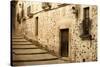 Antique Medieval Street at Unesco City of Caceres.-Jose AS Reyes-Stretched Canvas