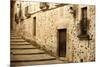 Antique Medieval Street at Unesco City of Caceres.-Jose AS Reyes-Mounted Photographic Print
