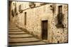 Antique Medieval Street at Unesco City of Caceres.-Jose AS Reyes-Mounted Photographic Print