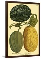 Antique Melons I-null-Framed Art Print