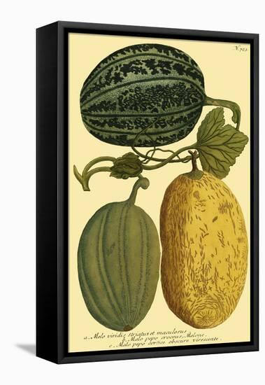 Antique Melons I-null-Framed Stretched Canvas