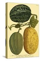 Antique Melons I-null-Stretched Canvas