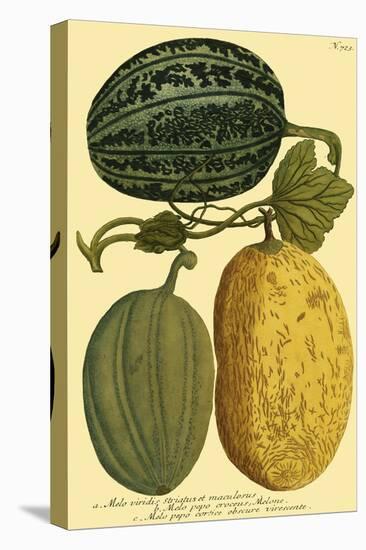 Antique Melons I-null-Stretched Canvas