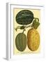 Antique Melons I-null-Framed Art Print