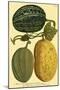 Antique Melons I-null-Mounted Art Print