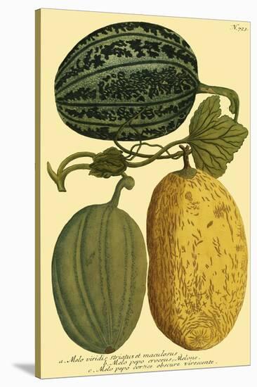 Antique Melons I-null-Stretched Canvas