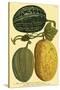 Antique Melons I-null-Stretched Canvas