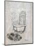 Antique Mirrored Bath II-Tiffany Hakimipour-Mounted Art Print