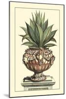 Antique Munting Aloe IV-Abraham Munting-Mounted Art Print