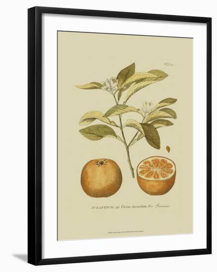 Antique Orange-null-Framed Art Print