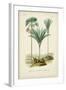 Antique Palm Collection IX-M. Charles D'Orbigny-Framed Art Print