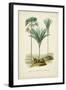 Antique Palm Collection IX-M. Charles D'Orbigny-Framed Art Print