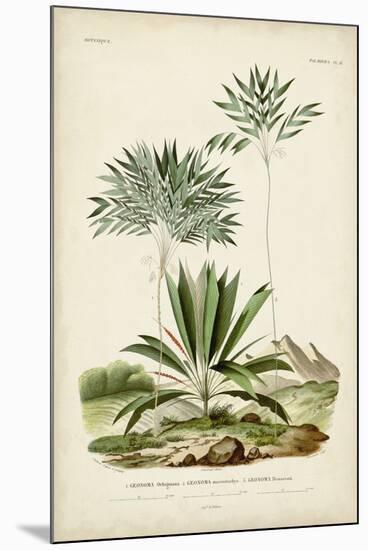 Antique Palm Collection VIII-M. Charles D'Orbigny-Mounted Art Print