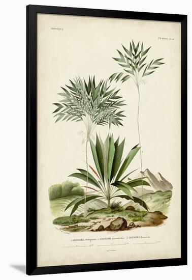 Antique Palm Collection VIII-M. Charles D'Orbigny-Framed Art Print