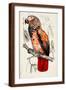 Brown Frame