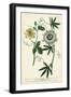 Antique Passion Flower II-Weinmann-Framed Art Print