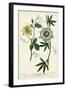 Antique Passion Flower II-Weinmann-Framed Art Print