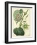 Antique Passionflower I-M. Hart-Framed Art Print