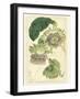 Antique Passionflower II-M. Hart-Framed Art Print