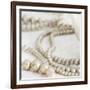 Antique Pearls 01-Tom Quartermaine-Framed Giclee Print