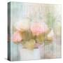 Antique Peonies-Kimberly Allen-Stretched Canvas
