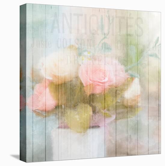 Antique Peonies-Kimberly Allen-Stretched Canvas