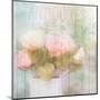 Antique Peonies-Kimberly Allen-Mounted Art Print