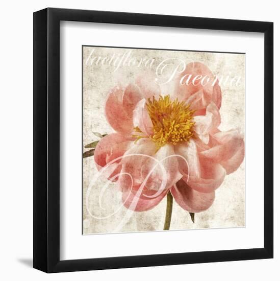 Antique Peony I-Christine Zalewski-Framed Art Print