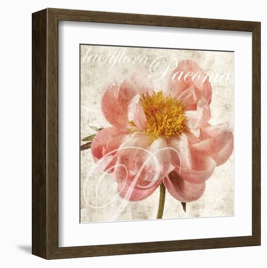 Antique Peony I-Christine Zalewski-Framed Art Print